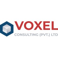Voxel Consulting logo - Similar company to Doe Modellers