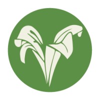 Favor storytelling logo - Similar company to Hippographic