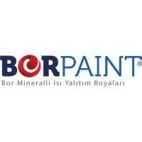 Borpaint logo - Similar company to Haskan Boya
