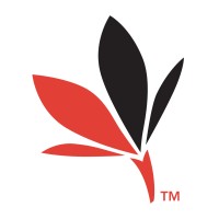 Dementia Canterbury logo - Similar company to Stepping Stone Trust