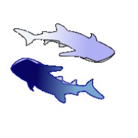 Whale Shark Project logo - Similar company to Atlantic Whale And Dolphin Foundation