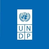 UNDP Global Centre, Singapore logo - Similar company to Trove - Prompted Journal For Dads