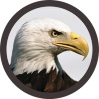 Birdseye Financial INC logo - Similar company to G&A Marketing