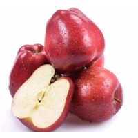 Yangling Modern Agriculture International Cooperation Co.,Ltd logo - Similar company to Nz Avocado