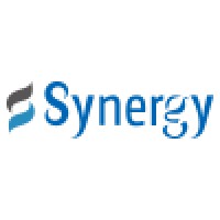 Synergy Global Systems logo - Similar company to Intigrow