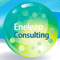 Eneleap Consulting logo - Similar company to Datafalcon