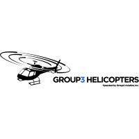 Group 3 Aviation logo - Similar company to Great Moments