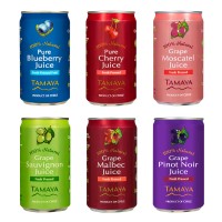 Tamaya Juice logo - Similar company to Procomex Chile