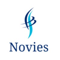 Novies Consulting logo - Similar company to Flexon Solutions