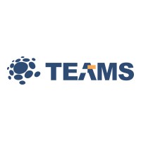 Teams Solutions LLP logo - Similar company to Ezresolve Llp