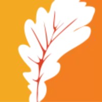 Oakdale Consulting logo - Similar company to Nafpak Group