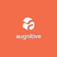 Augnitive logo - Similar company to Newroz Technologies Limited