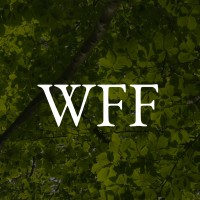 World Forest Forum logo - Similar company to World Forest Forum Foundation