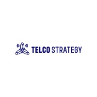 Telco Strategy logo - Similar company to Sc Ventures