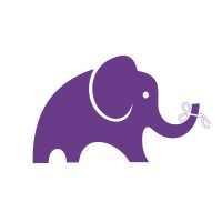 Purple Elephant logo - Similar company to Wash ‘N Roll