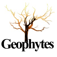 Geophytes logo - Similar company to Fons Juris