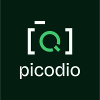 Picodio logo - Similar company to Holland Art Group B.V.