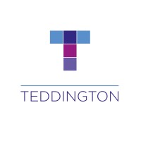 Teddington Systems logo - Similar company to In-Situ Process