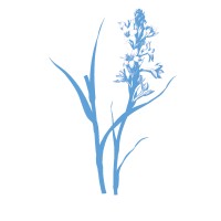 Immanuel Baan Uitvaartbegeleiding | 06 1288 3557 logo - Similar company to Echt De Sjaak!