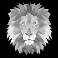 Leão Investigações logo - Similar company to Intergate Consultoria Digital Ltda