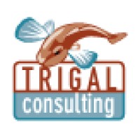 Trigal Consulting logo - Similar company to Nctech