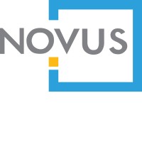 Novus Sistemi Informativi logo - Similar company to The Creature