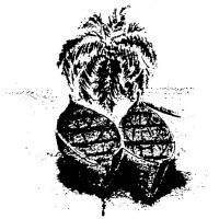 Philipkutty's Farm logo - Similar company to Back To Roots India