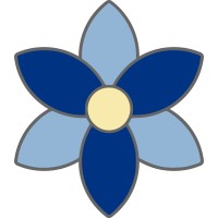 Blue Orchid Web Development