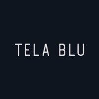 Tela Blu logo - Similar company to Morsy