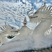 Dragon Recruitment Japan K.K logo - Similar company to Entheos | Asia-Pacific & Japan High Technology Executive Search