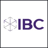Ikigai Business Consulting logo - Similar company to Dua Consulting