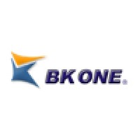 BK One Learning, Inc. logo - Similar company to Digital Buzzar
