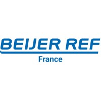 Beijer Ref France logo - Similar company to Technibel