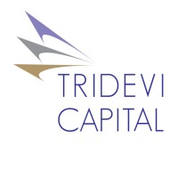 Tridevi Capital Ltd. logo - Similar company to Blue Ape