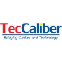 Tec Caliber It Services Pvt Ltd