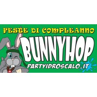 Party Idroscalo logo - Similar company to Management Utilities (X4Manager - Business Simulations)