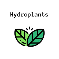 Hydroplants logo - Similar company to Dr.Food Banatone