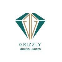 Grizzly Mining Ltd. logo - Similar company to Kagem Mining Limited - Kagem - A Gemfields Group Company