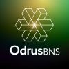 🌱OdrusBNS | Advisor Finanza Agevolata Aziendale & Energie Rinnovabili logo - Similar company to Staff Network