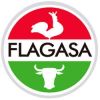 FLAGASA logo - Similar company to Aneca Ac