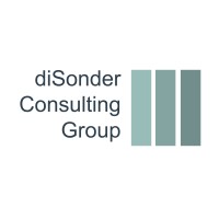 diSonder Consulting Group logo - Similar company to Re Development Solutions, Inc.