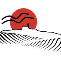 APS SENZA FILI SENZA CONFINI logo - Similar company to Wemole