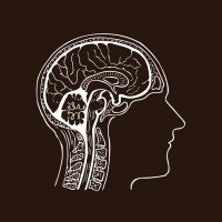 The [HP] Mental Health Project logo - Similar company to Dataviz Intel