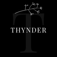 Thynder logo - Similar company to Creativemeter