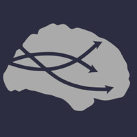 Brainscores logo - Similar company to Remote Optical