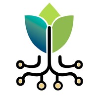 Silicon Roots Solutions logo - Similar company to Applied Ai Solutions