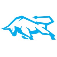 BullBox Marketing logo - Similar company to Wonder Blue S. R. O.