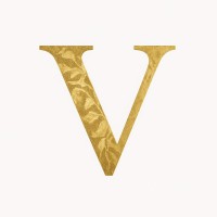 Voltaire Philanthropy Consultancy logo - Similar company to Scriptacademy
