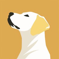 Yellow Lab Ventures logo - Similar company to Unusual