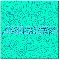 Anabaena logo - Similar company to Seren Labs